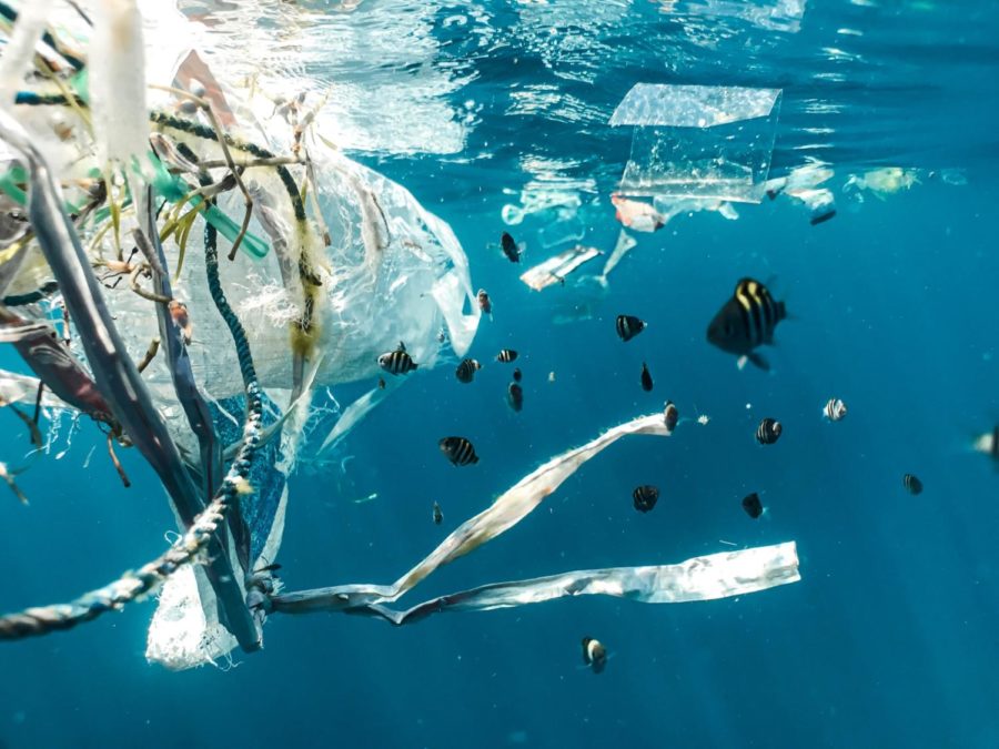 Microplastics have been found in most remote reaches of the Earth including arctic glaciers, Mount Everest, and the deep ocean.