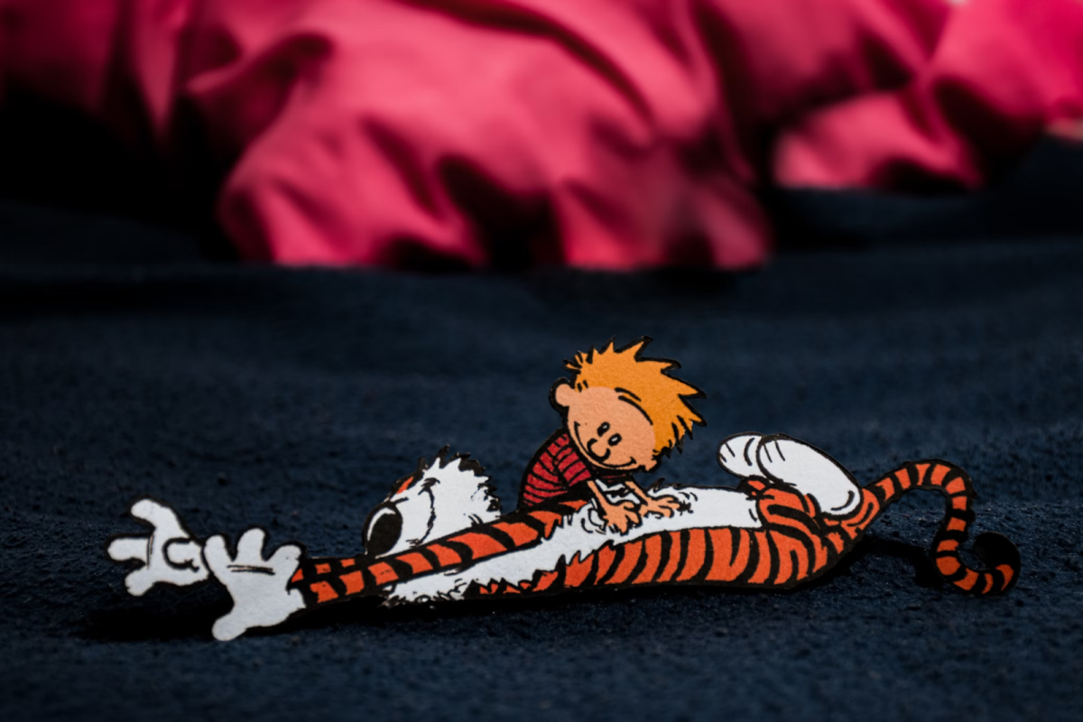 Some themes of Calvin and Hobbes have stuck with me since my childhood, but only through a mature lens have I seen the philosophical depth that it possesses. (Photo Credit: Juan Rojas / Unsplash)
